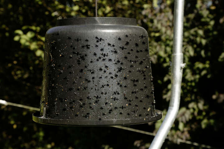 KERBL Eimer für Bremsenleim TaonX